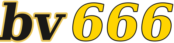 bv666 logo